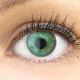 Farbige Grüne Premium Kontaktlinsen Valencia R Green - Glamlens ist der ideale Onlineshop für Farbige Kontaktlinsen