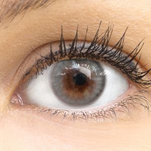 Glamlens Augusta Ice Gray - Natürlich Aussehende Dezente Farbige Kontaktlinsen ohne Stärke - 3 Monate Farbig