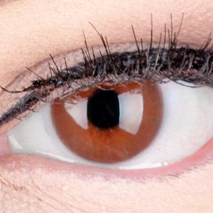 Das Produktfoto zeigt unsere Farbige Braune Kontaktlinse "Jasmine Choco" in einem echten Auge
