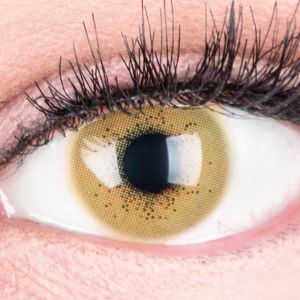 Das Produktfoto zeigt unsere Farbige Braune Kontaktlinse Lacey Brown in einem echten Auge