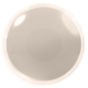 Beige Graue "Blind" Kontaktlinsen. Perfekte "Blind" Zombie Kontaktlinsen für Halloween und Zombie Kostüme