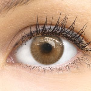 Farbige Braune Premium Kontaktlinsen Limone Brown von GLAMLENS