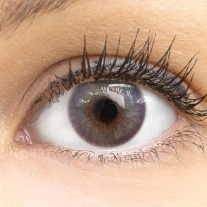Farbige Lila Premium Kontaktlinsen Limone Violet von GLAMLENS