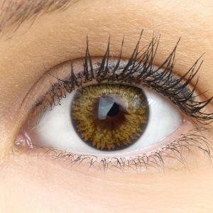 Farbige braune Kontaktlinsen 'Palermo Brown' - Silicone Comfort Monatslinsen von Glamlens