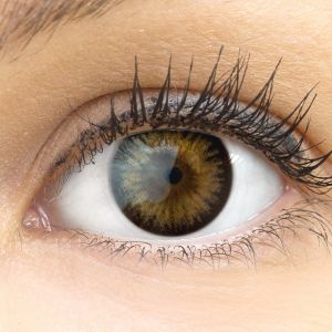 Farbige braune Kontaktlinsen 'Siena Brown' - Silicone Comfort Monatslinsen von Glamlens
