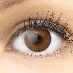 Farbige Braune Premium Kontaktlinsen Verona Brown von GLAMLENS