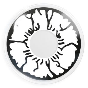 Das Produktfoto zeigt unsere Crazy weisse Farbige Kontaktlinse White Monster in einem echten Auge