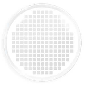 &#128293;Final Sale&#128293;  Farbige weiße Kontaktlinsen für Cosplay und Halloween - White Screen von MeralenS - 1 Paar (2 Stück)